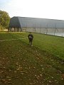 Cross du collège (Le 22.10.10) 059